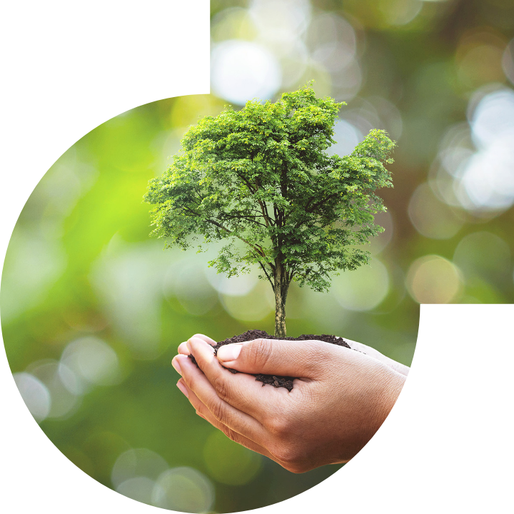 关怀人类、文化、环境与社会