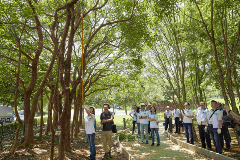 藝師教導大家認識樹木、檢查樹的健康狀況，學習修枝及碎枝覆土